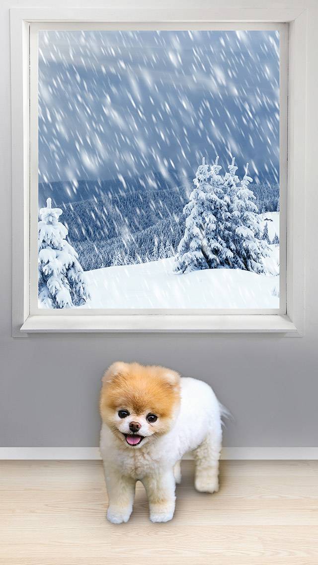 Boo Weather showing snow weather