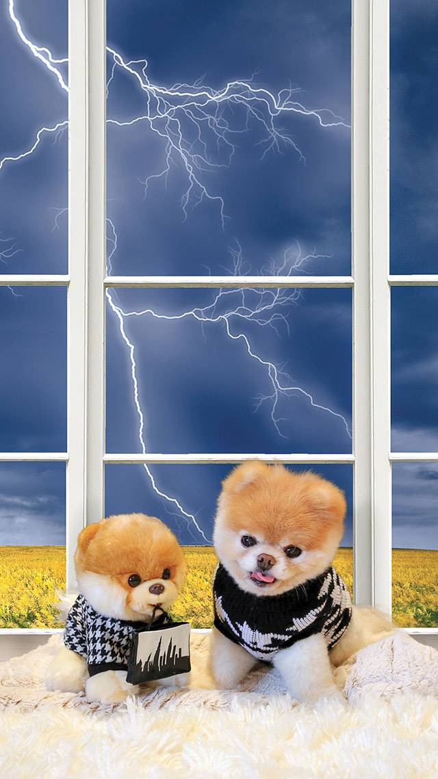Boo Weather showing thunderstorm weather